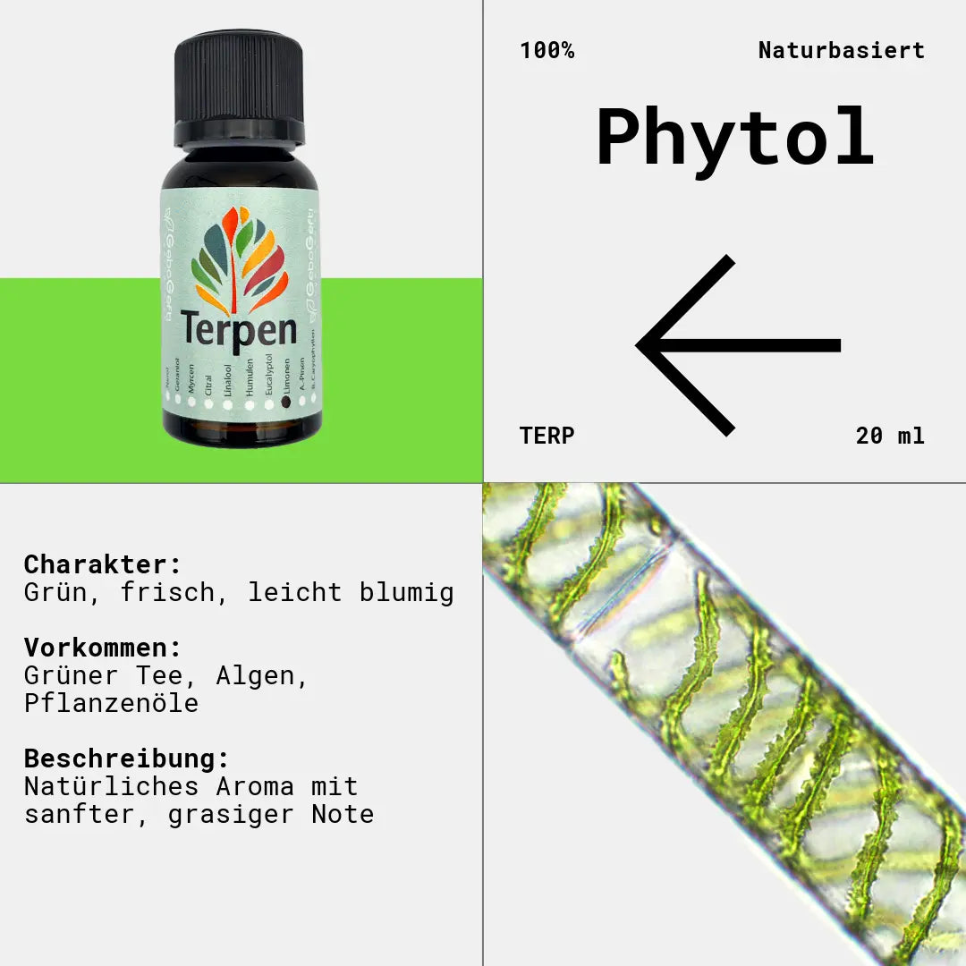Braunglasflasche 20ml mit Terpineol Terpen – Hochwertiges, reines Terpen mit sanftem, blumigem und leicht zitrusartigem Aroma. Ideal für Aromatherapie, Terpen-Blends und Extrakte. Die lichtgeschützte Flasche bewahrt Frische und Reinheit für eine lange Haltbarkeit.