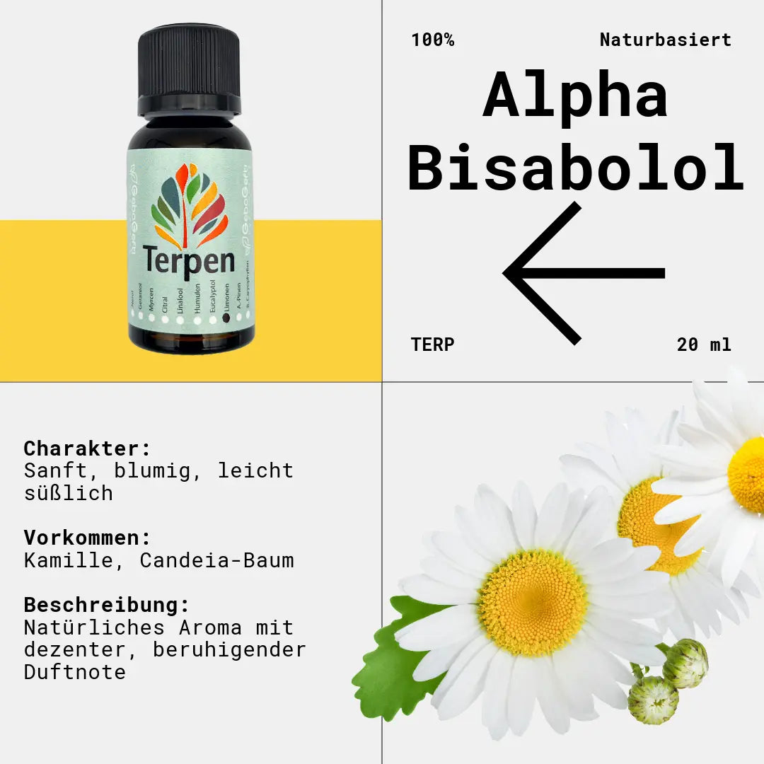 Braunglasflasche 20ml mit Alpha-Bisabolol Terpen – Hochwertiges, reines Terpen mit mildem, blumig-süßem Aroma und sanften Kräuternoten. Ideal für Aromatherapie, Terpen-Blends und Extrakte. Die lichtgeschützte Flasche bewahrt Frische und Qualität für maximale Haltbarkeit.
