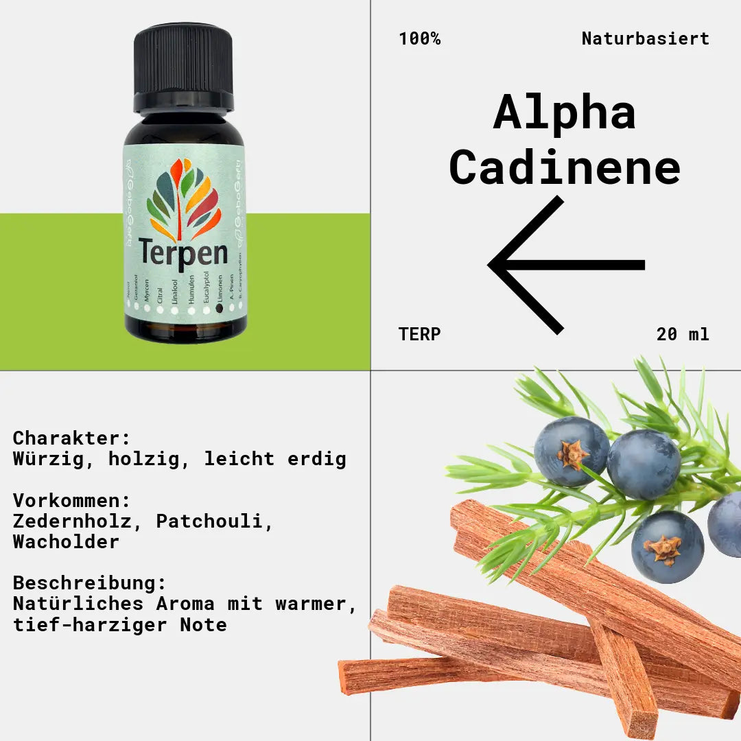 Alpha-Cadinene Terpen – natürliches Aromamolekül mit erdigen, würzigen und holzigen Noten. Häufig in ätherischen Ölen, Cannabis und Heilpflanzen enthalten. Bekannt für seine potenziellen entzündungshemmenden und antioxidativen Eigenschaften.