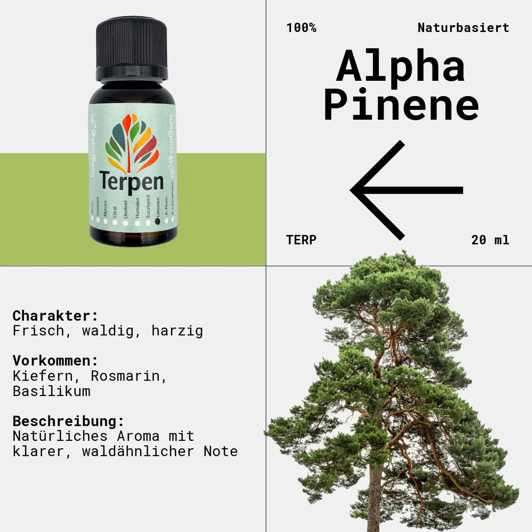 Braunglasflasche 20ml mit Alpha-Pinen Terpen – Hochwertiges, reines Terpen mit frischem, waldigem und leicht harzigem Aroma. Ideal für Aromatherapie, Terpen-Blends und Extrakte. Die lichtgeschützte Flasche sorgt für maximale Frische und langanhaltende Qualität.