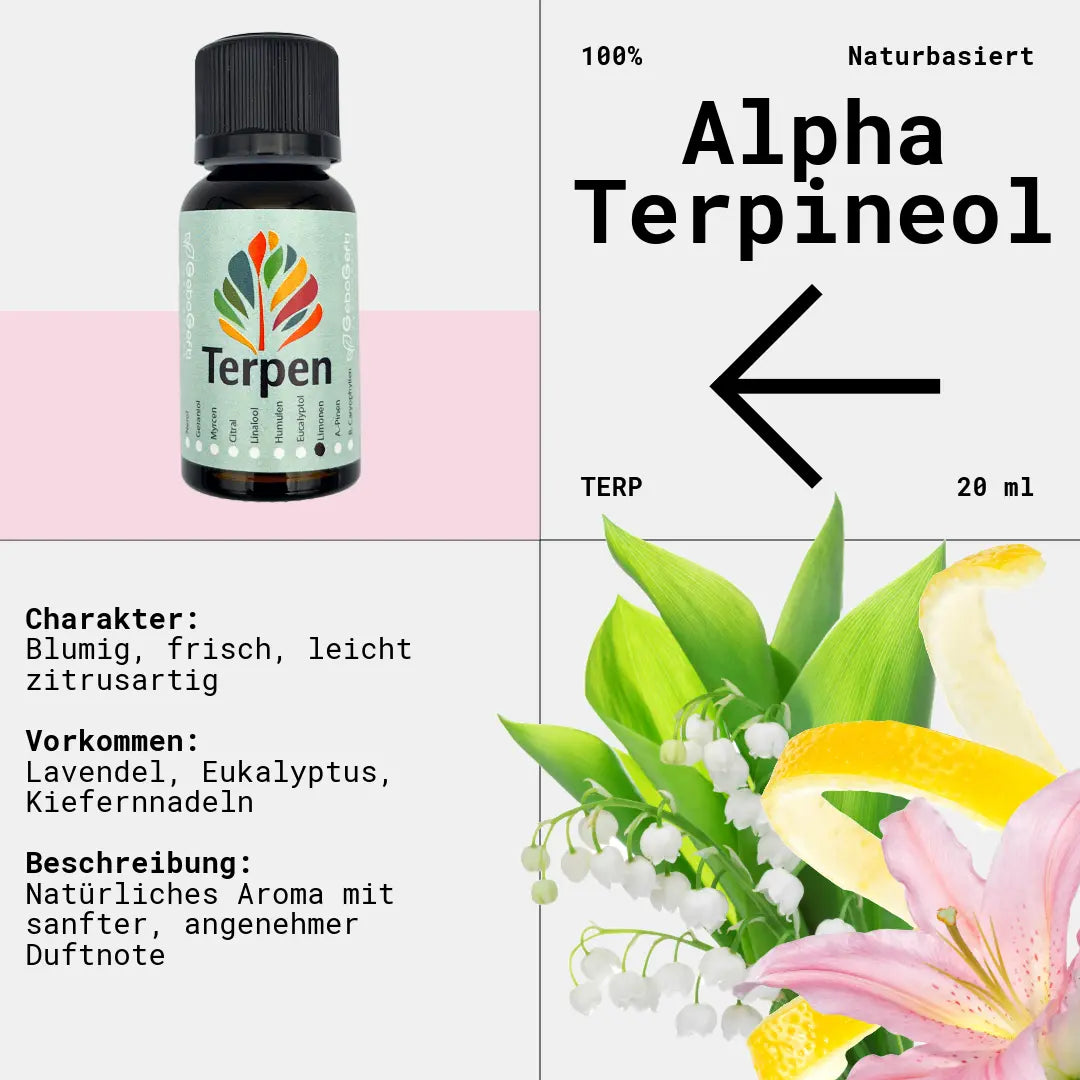 Braunglasflasche 20ml mit Alpha-Terpineol Terpen – Hochwertiges, reines Terpen mit sanftem, blumigem und leicht zitrusartigem Aroma. Perfekt für Aromatherapie, Terpen-Blends und Extrakte. Die lichtgeschützte Flasche sorgt für optimale Haltbarkeit und langanhaltende Qualität.