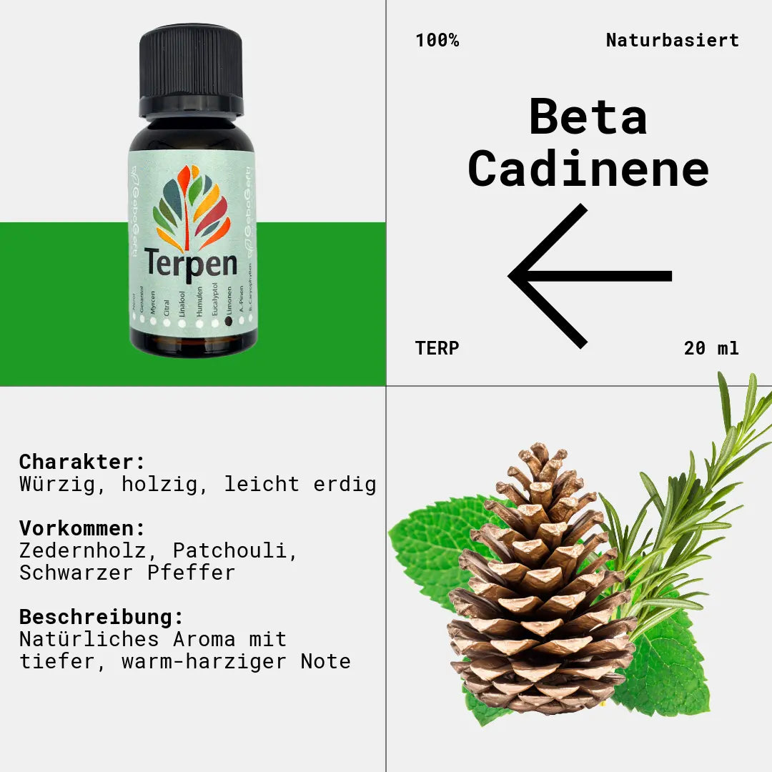 Flasche Beta-Cadinene Terpen, 20 ml. Holzig-würziges Aroma mit beruhigenden und stresslindernden Eigenschaften. Natürliches Vorkommen in Nelken, Wacholder und Zedernholz