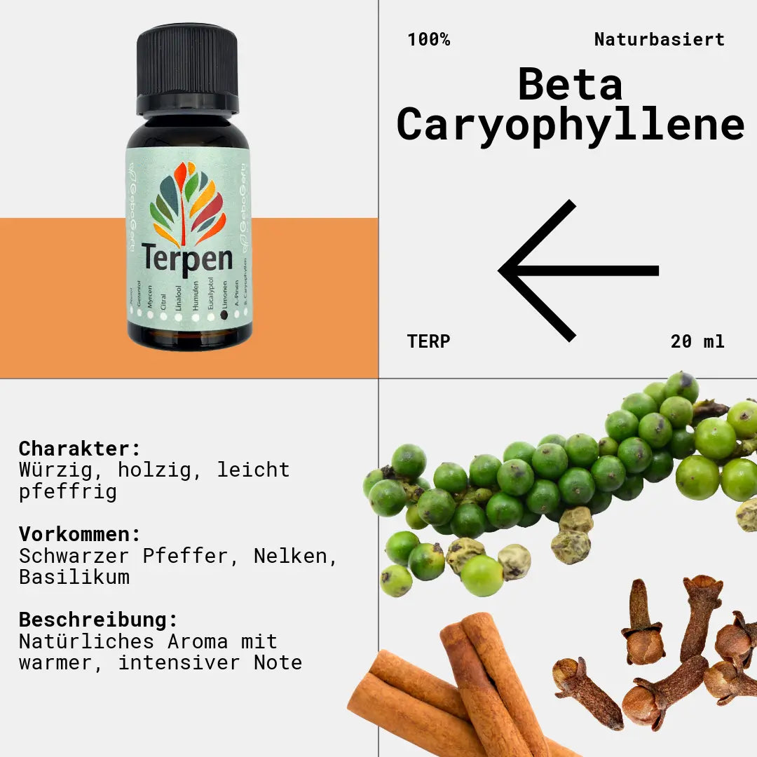 Braunglasflasche 20ml mit Beta-Caryophyllen Terpen – Hochwertiges, reines Terpen mit würzigem, pfeffrigem und leicht holzigem Aroma. Ideal für Aromatherapie, Terpen-Blends und Extrakte. Die lichtgeschützte Flasche sorgt für optimale Frische und langanhaltende Qualität.