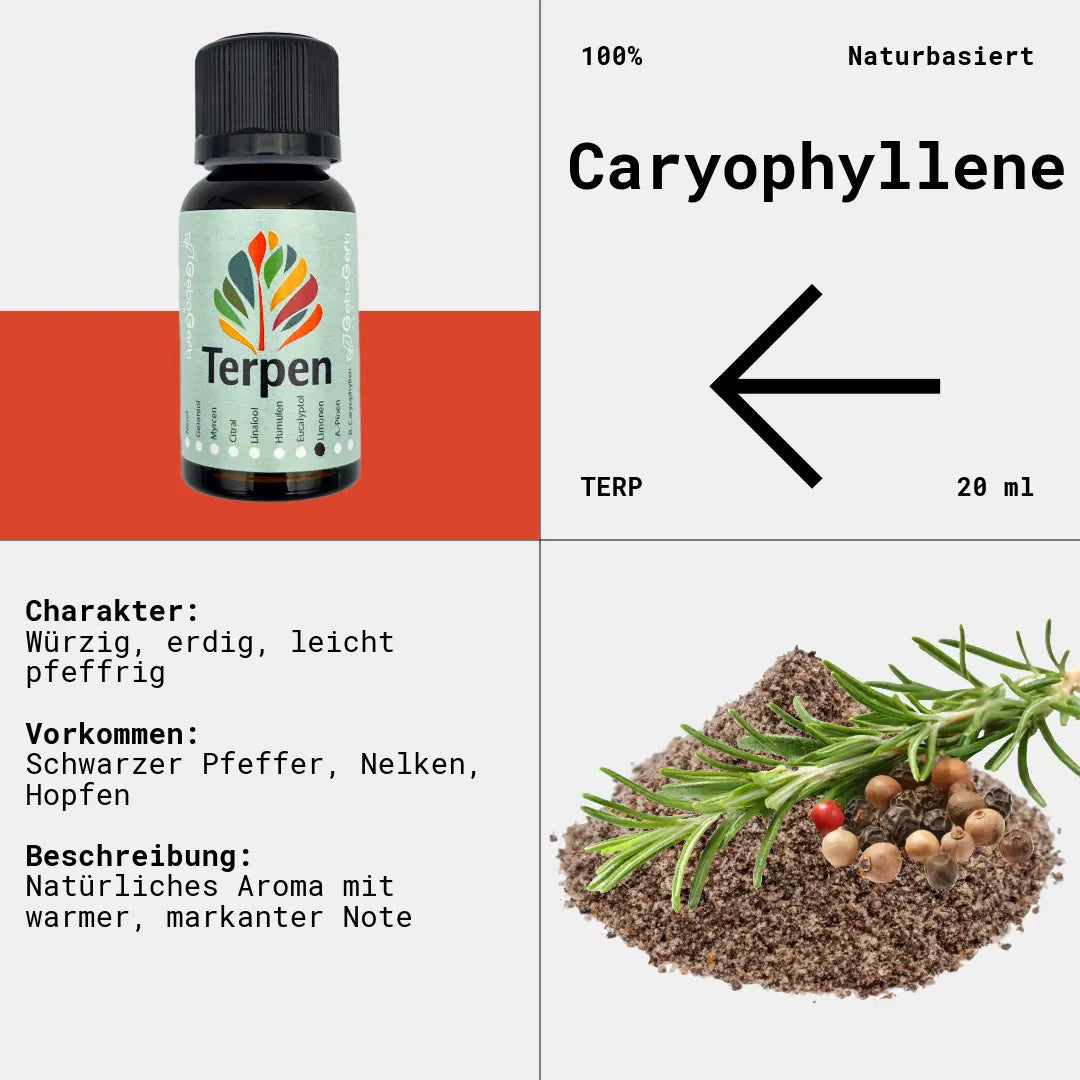 Braunglasflasche 20ml mit Caryophyllen Terpen – Hochwertiges, natürliches Terpen mit würzigem, pfeffrigem Aroma und erdigen Untertönen. Ideal für Aromatherapie, Terpen-Blends und Extrakte. Die lichtgeschützte Flasche bewahrt die Qualität und das volle Aroma.