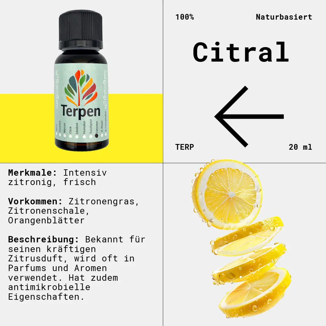 Citral Terpen – intensiv zitroniges Aromamolekül, bekannt für seinen frischen, fruchtigen Duft. Häufig in Zitrusfrüchten, ätherischen Ölen und Cannabis enthalten. Wird für seine potenziell antibakteriellen, antifungalen und beruhigenden Eigenschaften geschätzt.