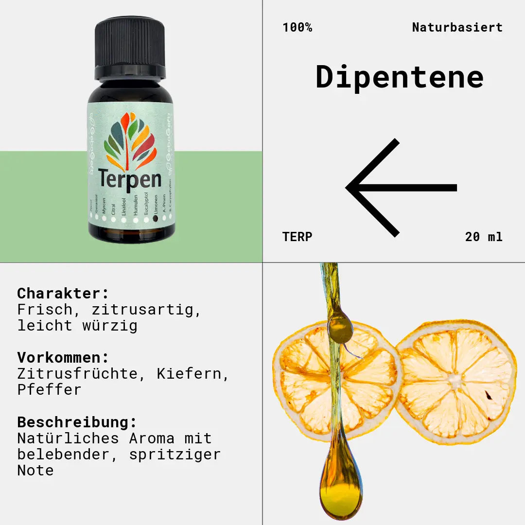 Braunglasflasche 20ml mit Dipenten Terpen – Reines, hochwertiges Terpen mit frischem, zitrusartigem und leicht harzigem Aroma. Ideal für Aromatherapie, Terpen-Mischungen und Extrakte. Die lichtgeschützte Flasche schützt vor Oxidation und erhält die Qualität.