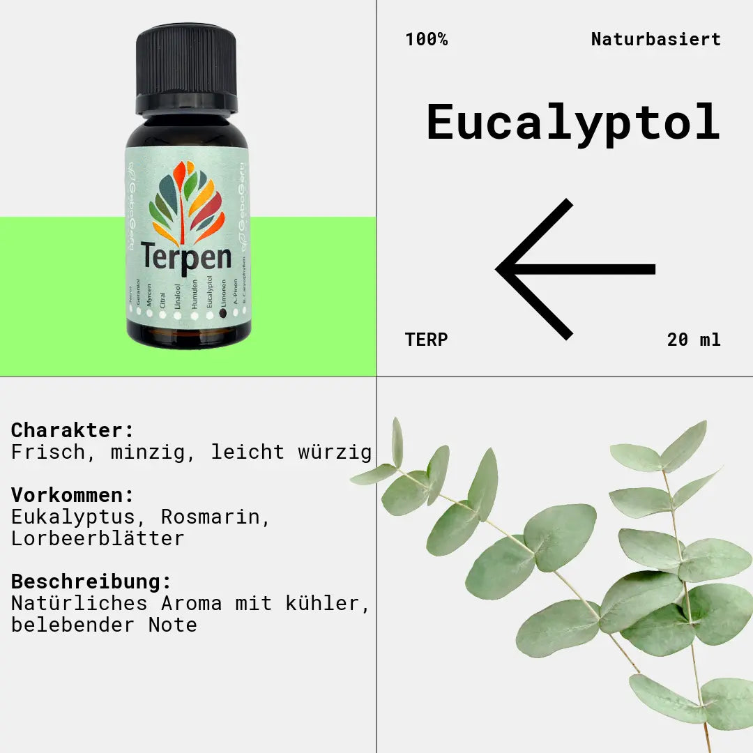 Braunglasflasche 20ml mit Eucalyptol Terpen – Reines, hochwertiges Terpen mit frischem, minzigem und leicht kampferartigem Aroma. Perfekt für Aromatherapie, Terpen-Blends und Extrakte. Die lichtgeschützte Flasche sorgt für eine lange Haltbarkeit und maximalen Erhalt der Reinheit.