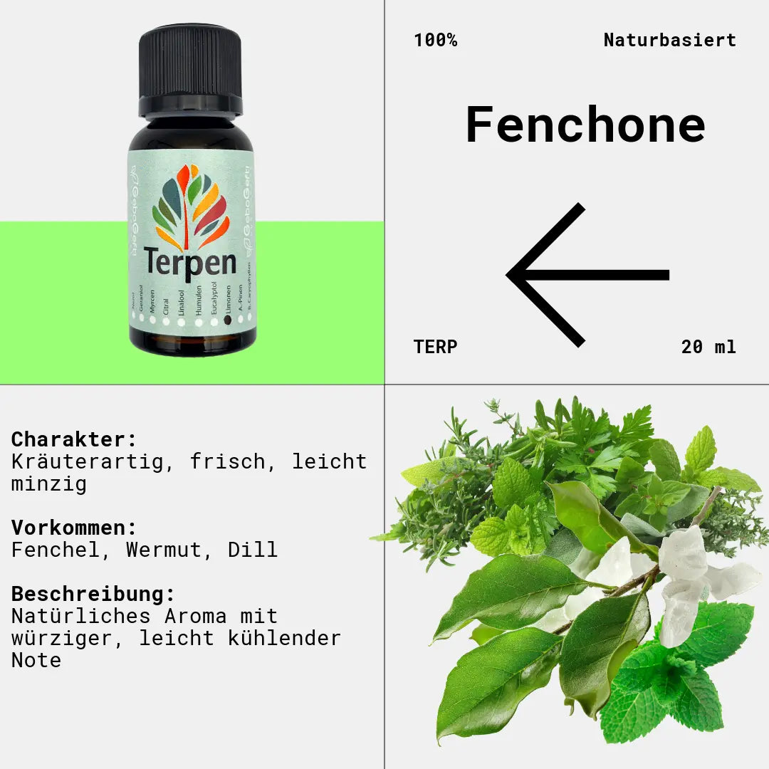 Braunglasflasche 20ml mit Fenchone Terpen – Hochwertiges, reines Terpen mit würzigem, kampferartigem Aroma. Ideal für Aromatherapie, Terpen-Blends und Extrakte. Lichtgeschützte Flasche für maximale Haltbarkeit.