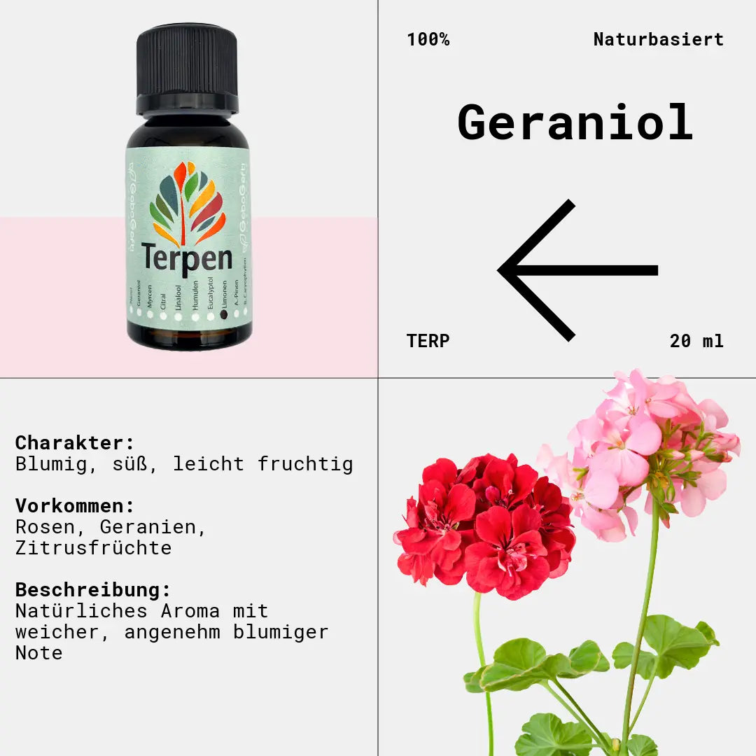 Braunglasflasche 20ml mit Geraniol Terpen – Hochwertiges, reines Terpen mit intensiv blumigem, rosigem Duft und leicht fruchtigen Nuancen. Ideal für Aromatherapie, Terpen-Mischungen und Extrakte. Die lichtgeschützte Flasche bewahrt das Aroma und die Qualität.