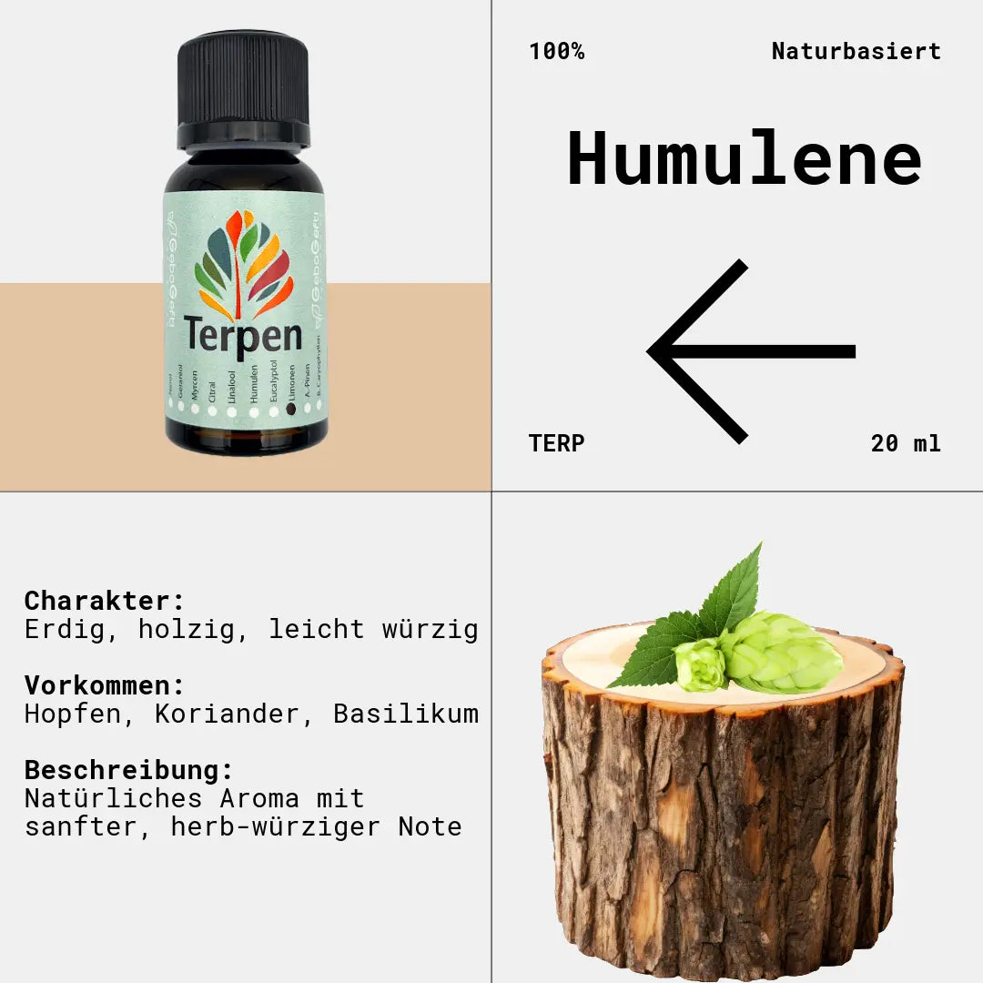 Braunglasflasche 20ml mit Humulen Terpen – Hochwertiges, reines Terpen mit erdigem, holzig-würzigem Aroma und leicht hopfigen Noten. Ideal für Aromatherapie, Terpen-Blends und Extrakte. Die lichtgeschützte Flasche bewahrt die Qualität und Frische für eine lange Haltbarkeit.