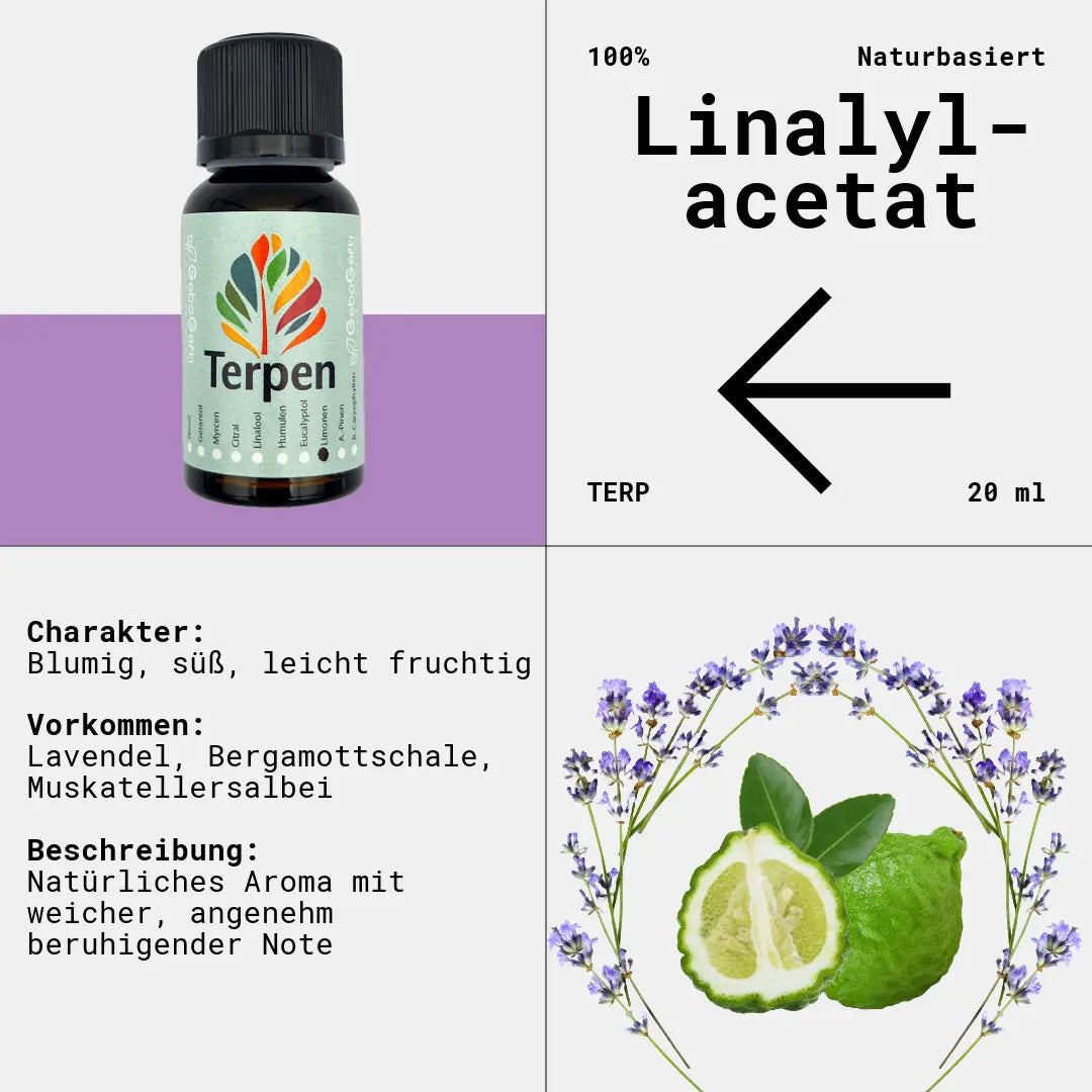 Braunglasflasche 20ml mit Linalylacetat Terpen – Hochwertiges, reines Terpen mit süßlich-blumigem und leicht fruchtigem Aroma, das an Lavendel erinnert. Ideal für Aromatherapie, Terpen-Mischungen und Extrakte. Die lichtgeschützte Flasche bewahrt das volle Aroma und die Qualität.