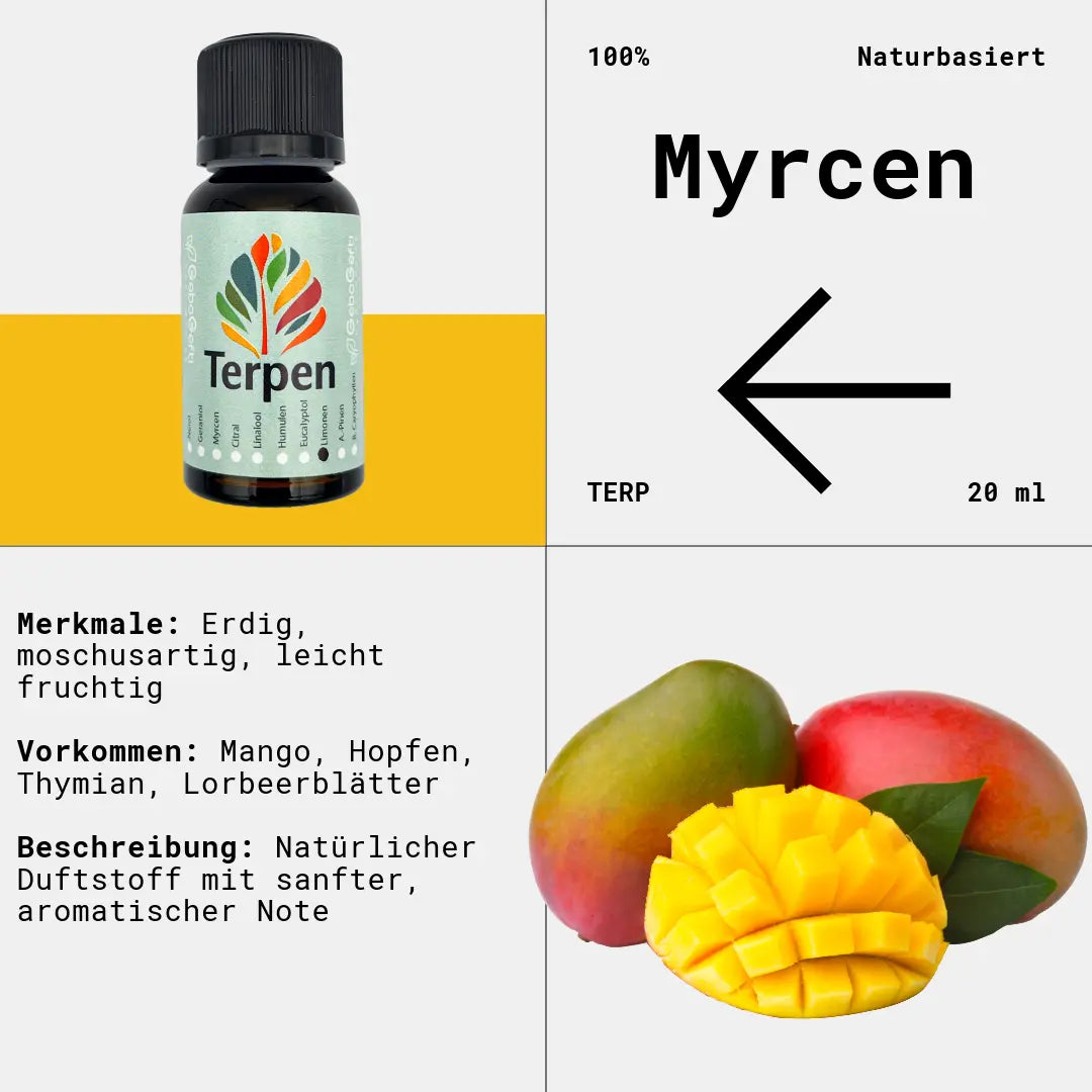 Braunglasflasche 20ml mit Myrcen Terpen – Hochwertiges, natürliches Terpen mit erdigem, würzigem und leicht fruchtigem Aroma. Perfekt für Aromatherapie, Terpen-Blends und Extrakte. Die lichtgeschützte Flasche erhält Frische und Reinheit für maximale Haltbarkeit.