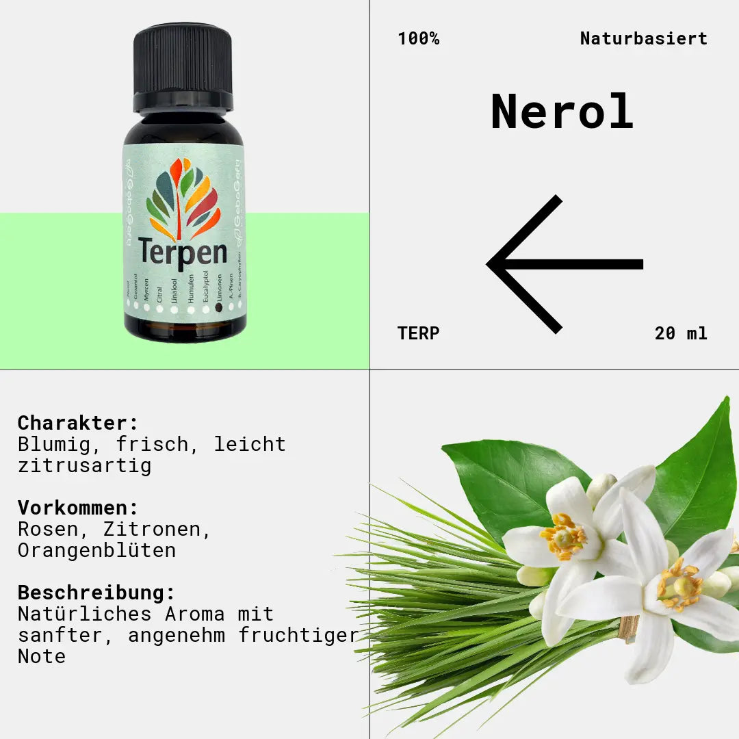Braunglasflasche 20ml mit Nerol Terpen – Premium-Terpen mit sanftem, blumigem Duft und frischen Rosen-Noten. Perfekt für individuelle Terpen-Mischungen, Aromatherapie und Extrakte. Die lichtgeschützte Flasche sorgt für langanhaltende Qualität.