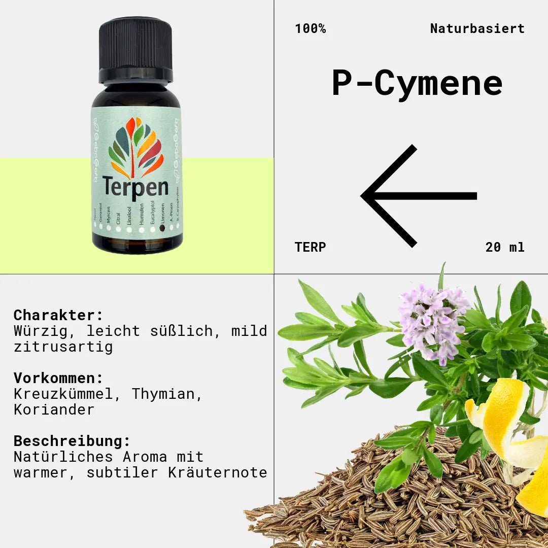 Braunglasflasche 20ml mit P-Cymen Terpen – Hochwertiges, reines Terpen mit würzigem, leicht zitrusartigem Aroma. Ideal für Aromatherapie, Terpen-Blends und Extrakte. Lichtgeschützte Flasche für maximale Haltbarkeit.