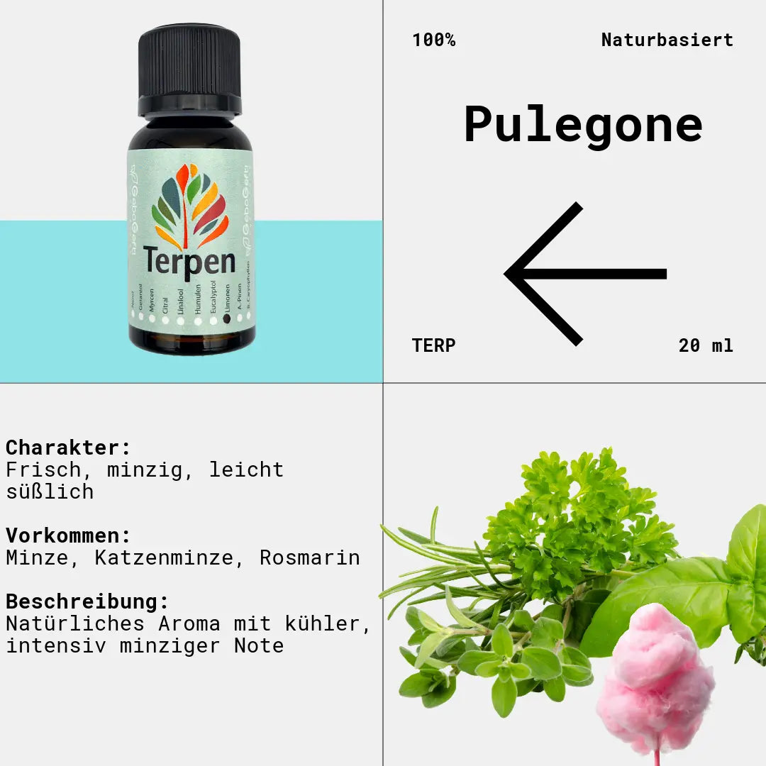 Braunglasflasche 20ml mit Pulegone Terpen – Hochwertiges, reines Terpen mit intensiv minzigem Aroma. Ideal für Aromatherapie, Terpen-Blends und Extrakte. Lichtgeschützte Flasche für optimale Haltbarkeit.