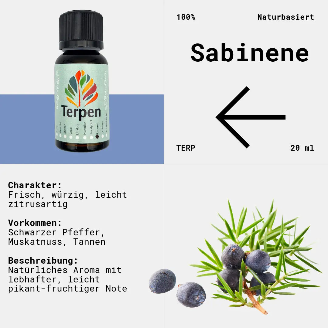 Braunglasflasche 20ml mit Sabinen Terpen – Hochwertiges, reines Terpen mit würzigem, leicht holzigem und zitrusartigem Aroma. Perfekt für Aromatherapie, Terpen-Blends und Extrakte. Die lichtgeschützte Flasche sorgt für maximale Frische und Haltbarkeit.