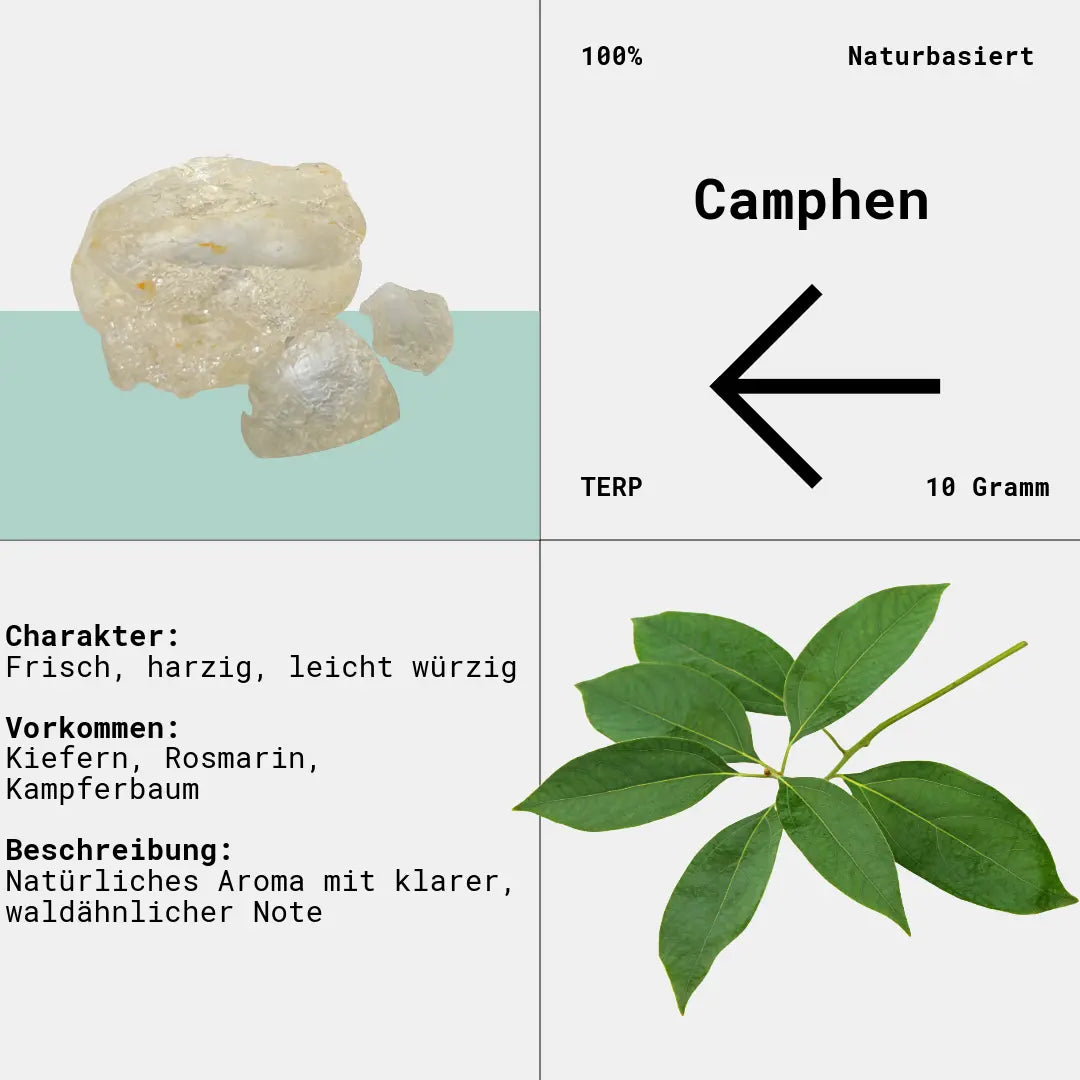 Camphen und dessen Eigenschaften