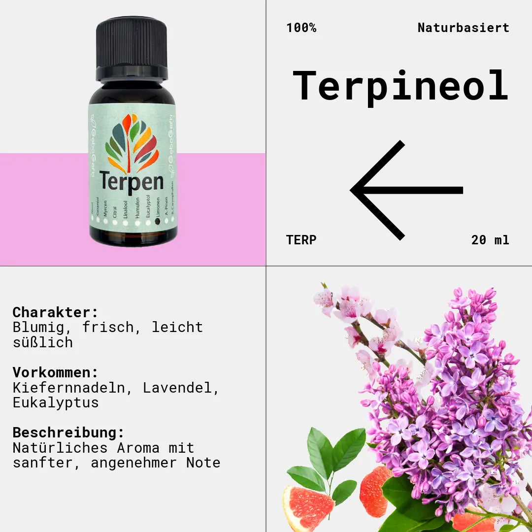 Braunglasflasche 20ml mit Terpineol Terpen – Hochwertiges, reines Terpen mit sanftem, blumigem und leicht zitrusartigem Aroma. Ideal für Aromatherapie, Terpen-Blends und Extrakte. Die lichtgeschützte Flasche bewahrt Frische und Reinheit für eine lange Haltbarkeit.