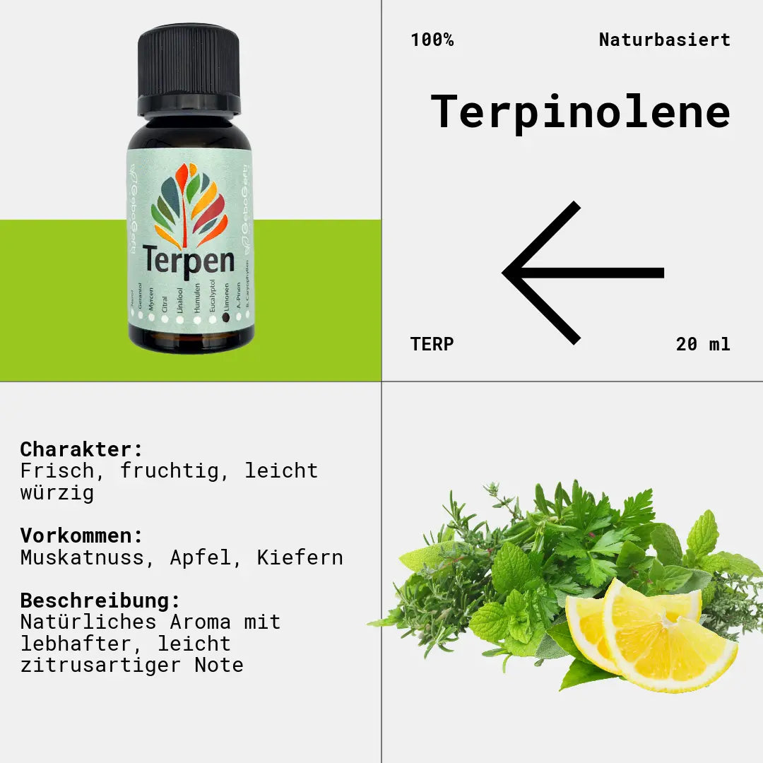 Braunglasflasche 20ml mit Terpinolen Terpen – Reines, hochwertiges Terpen mit frischem, blumig-waldigem Aroma und leicht fruchtigen Noten. Ideal für Aromatherapie, Terpen-Blends und Extrakte. Die lichtgeschützte Flasche sorgt für optimale Haltbarkeit und Qualität.