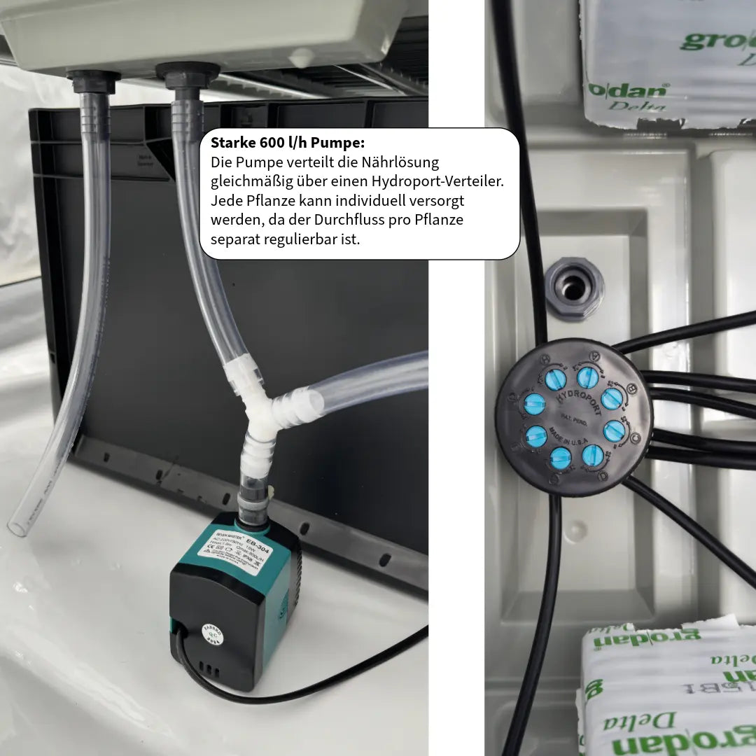 Hydroponisches System | 8 Pflanzen Gebo Gefti hydroponics