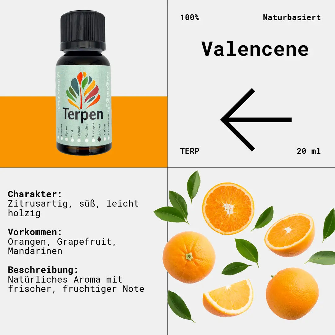 Braunglasflasche 20ml mit Valencen Terpen – Hochwertiges, natürliches Terpen mit intensivem, süßlich-zitrusartigem Aroma und fruchtigen Untertönen. Perfekt für Aromatherapie, Terpen-Blends und Extrakte. Die lichtgeschützte Flasche bewahrt Frische und Reinheit.